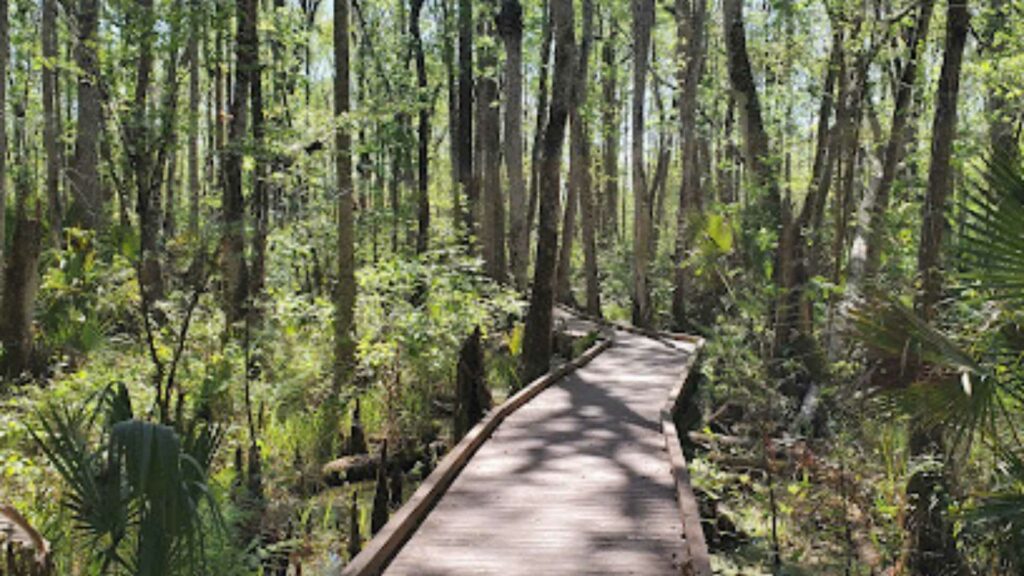 Flat Island Preserve