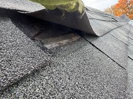curled shingles
