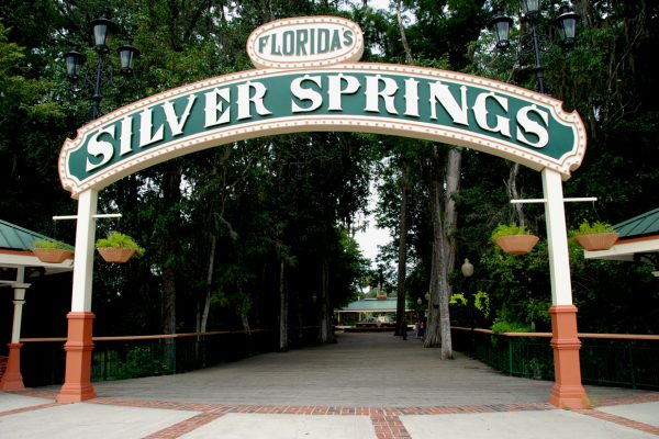 silver springs roofing